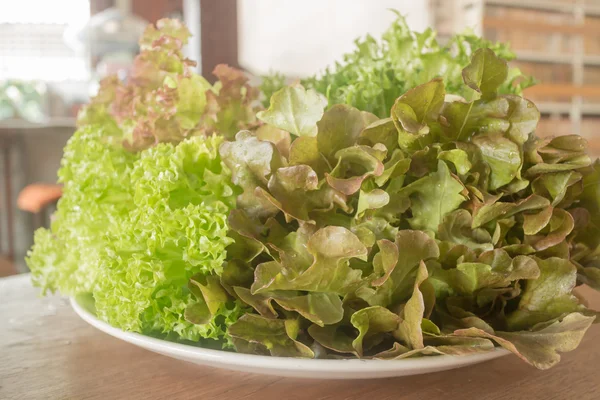 Frische Bio-Mischung Salatgemüse — Stockfoto