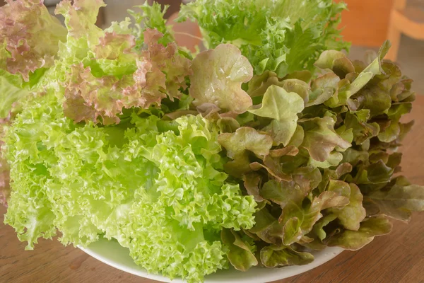 Fresh organic mix salad vegetable — Stock Photo, Image