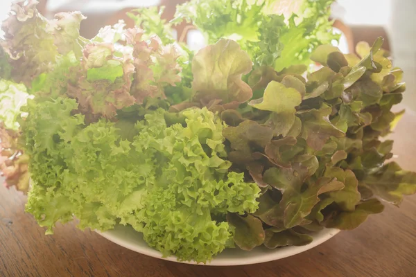 Fresh organic mix salad vegetable — Stock Photo, Image