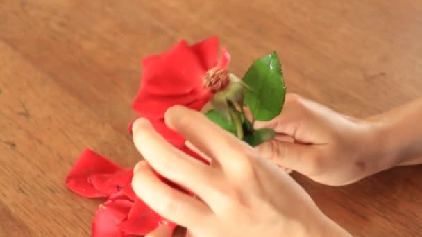 Menina coração quebrado pegar pétalas de rosa — Vídeo de Stock