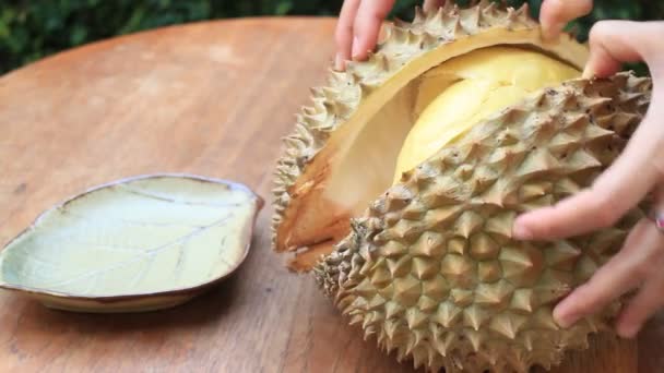 Lätt som serverar thailändska Durian frukt, lager Video — Stockvideo