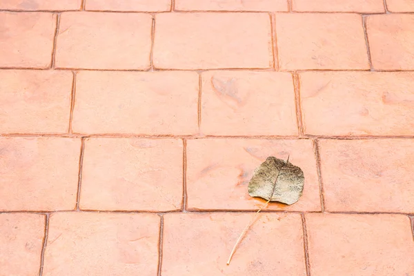 Bodhi or pho leaf dry on brick floor — Stock Photo, Image
