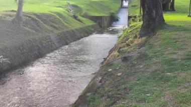Yeşillik bahçesinin rahatlatıcı manzarası, stok görüntüleri.