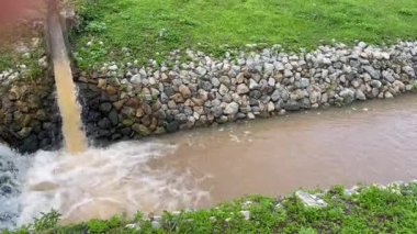 Yeşillik bahçesinin rahatlatıcı manzarası, stok görüntüleri.