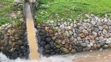 Yeşillik bahçesinin rahatlatıcı manzarası, stok görüntüleri.