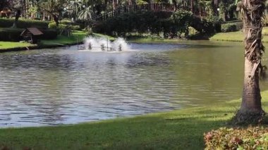 Doğada seyahat rotası tropikal bitkiler tatil beldesi, stok görüntüleri