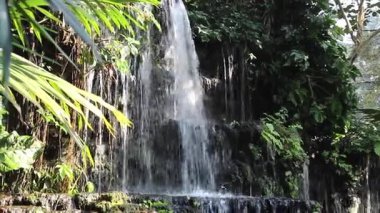 Doğada seyahat rotası tropikal bitkiler tatil beldesi, stok görüntüleri