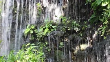 Doğada seyahat rotası tropikal bitkiler tatil beldesi, stok görüntüleri