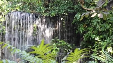 Doğada seyahat rotası tropikal bitkiler tatil beldesi, stok görüntüleri