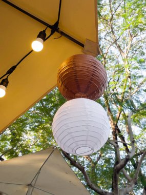 Ev bahçesinde doğal çiçek peyzajı, stok fotoğrafı