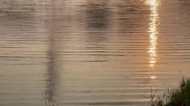 Kamu bahçesindeki su yansımasında gün doğumu, stok görüntüleri