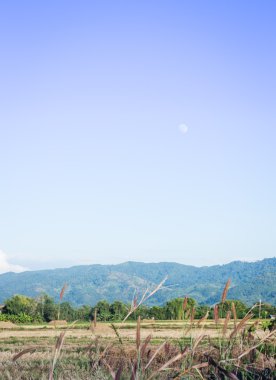 Akşam dağ ve pirinç alan