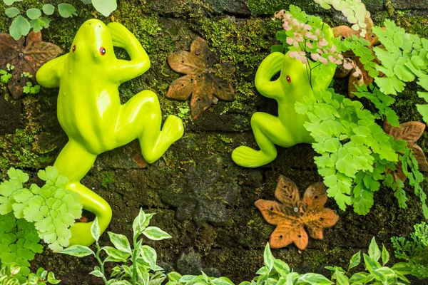 Jardin minimal avec variété de plantes tropicales — Photo