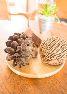 Yeşil bitki kova ahşap masanın üzerine dekore edilmiştir.