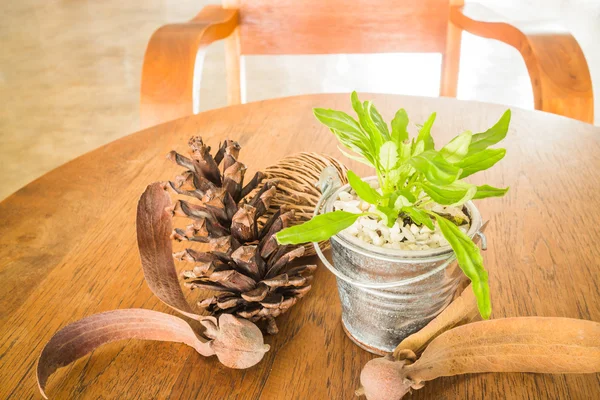 Secchio di pianta verde decorato su tavolo di legno — Foto Stock