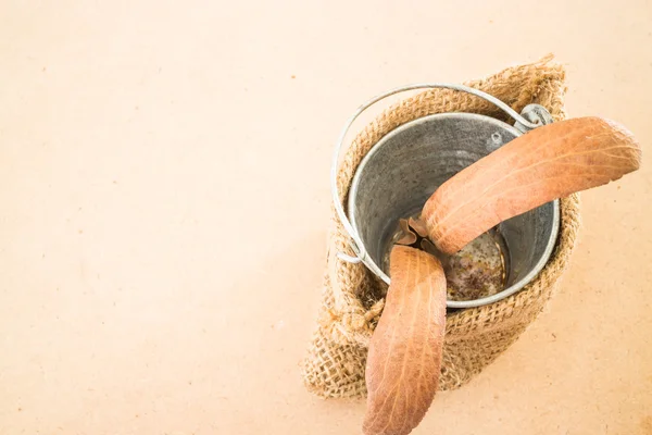 Frutto a due ali di Dipterocarpus su tavola di legno — Foto Stock