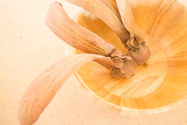 Frutto a due ali di Dipterocarpus su tavola di legno — Foto Stock