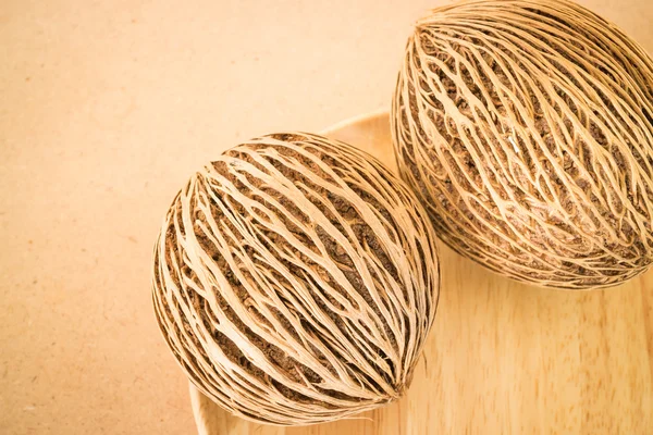 Dried seeds with beautiful lines of the Suicide Tree — Stock Photo, Image