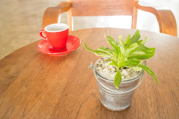 Tazza rossa di caffè e secchio verde per piante sul tavolo di legno — Foto Stock