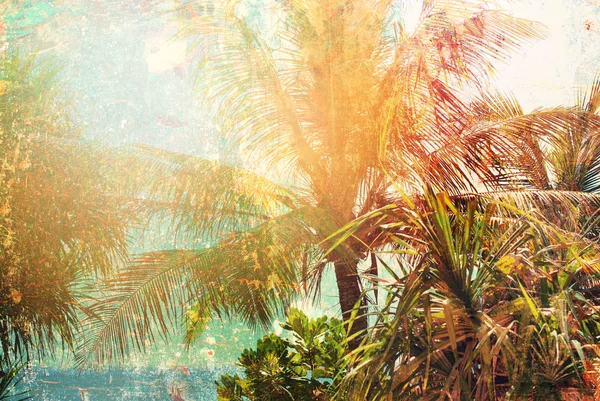 Palmeras tropicales Playa Tonificado Vintage Shabby Efecto — Foto de Stock
