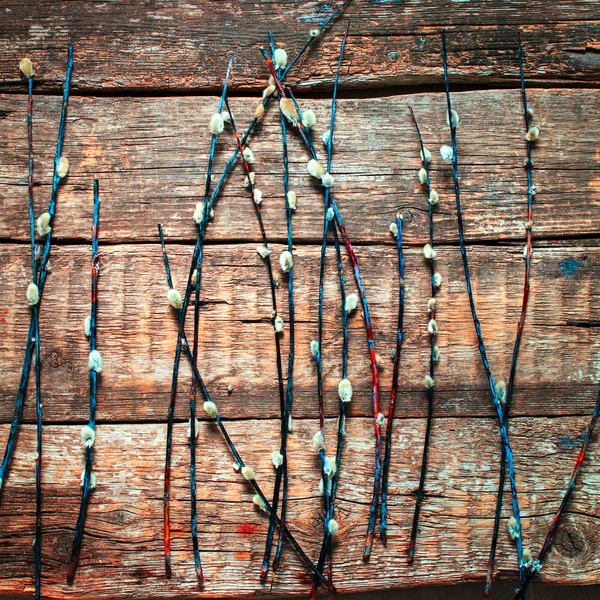 Puszysty Willow oddziałów stare drewniane tła — Zdjęcie stockowe