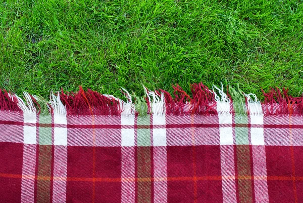 Geruite geruite Picnic Green Grass — Stockfoto