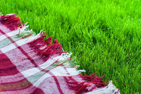 Checkered Plaid Picnic Green Grass Summer Time — Stock Photo, Image