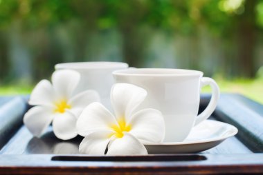 Bardak taze içecek ve Plumeria çiçeklerle