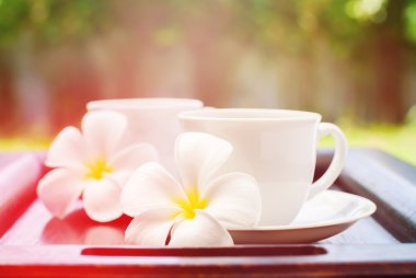 İki bardak içecek ve Plumeria beyaz. Resort Tema