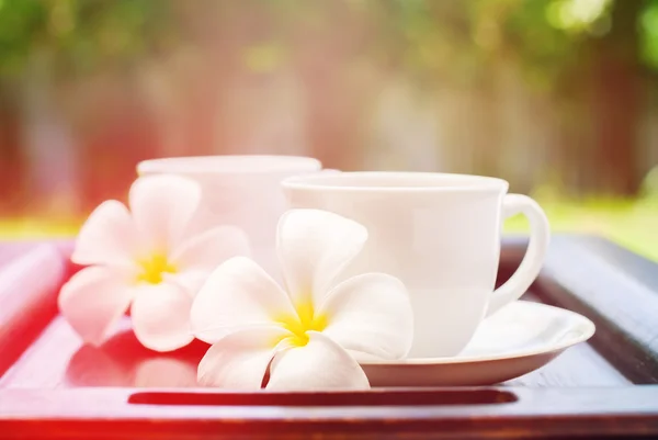 Dos tazas blancas con bebida y Plumeria. Tema Resort — Foto de Stock