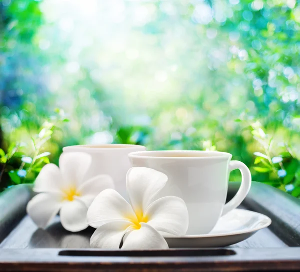 Δύο φλιτζάνια τσάι με λουλούδια Plumeria λευκό. Καλοκαίρι φόντο — Φωτογραφία Αρχείου