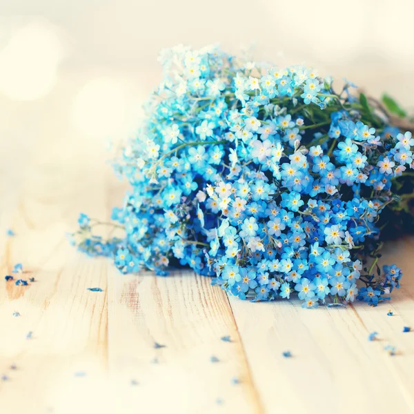 Vergeet me niet blauwe bloemen boeket witte achtergrond — Stockfoto