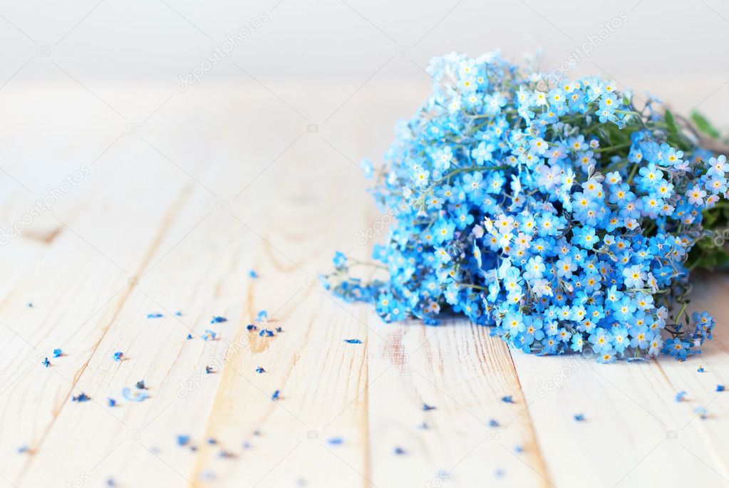 Forget me Not Blue Petals Flowers White Background