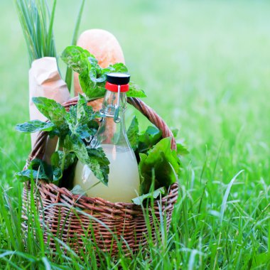 Piknik sepeti nane içki taze ekmek yeşil açık