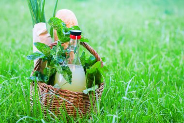 Sepet nane içki taze ekmek yaprak yeşillik yaz