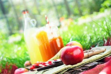 Meyve elma armut suları şişe ahşap tahta piknik