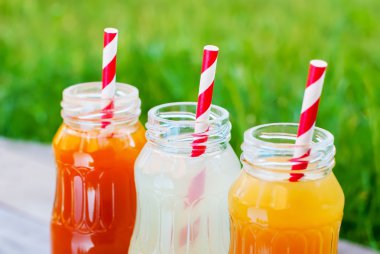 Şişe farklı meyve renk suyu piknik partisi