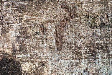 Eski püskü ahşap Panel kontrplak dokulu arka plan