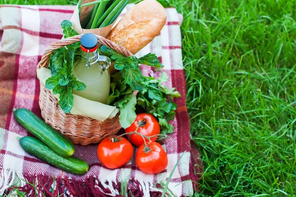 Koszyka rustykalne surowego świeżej żywności na zielonej trawie Plaid — Zdjęcie stockowe