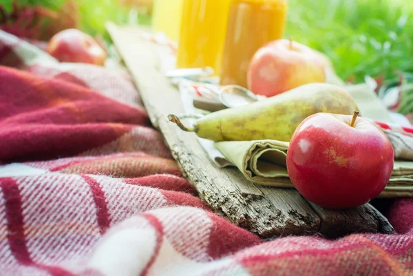 Früchte Äpfel Birnensaftflaschen auf Picknick-Plaid — Stockfoto