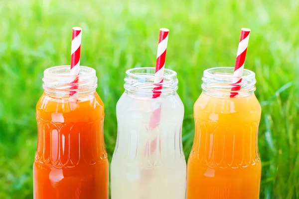 Garrafas de árvore Suco de fruta diferente Piquenique de palha — Fotografia de Stock