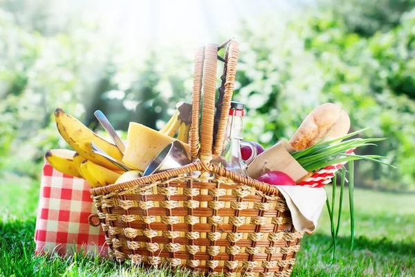Picknick watschelnden Korb Einstellung Essen Sommerzeit — Stockfoto