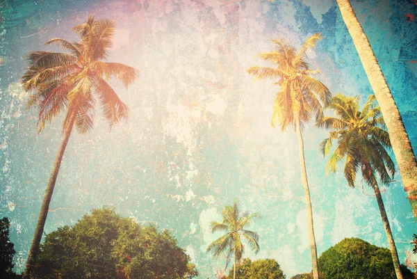Tropischen Hintergrund Palmen Urlaub Reise-Design — Stockfoto