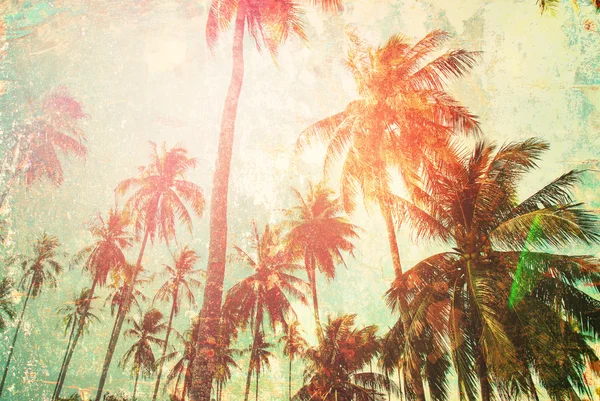Тропический фон Palm Tree Sun Light Holiday Travel Design Toned Pastel Effect — стоковое фото
