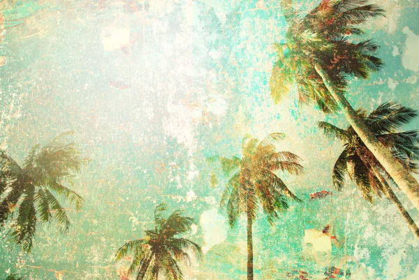 Tropikalne Palm Tree słońca światła Vintage Shabby — Zdjęcie stockowe