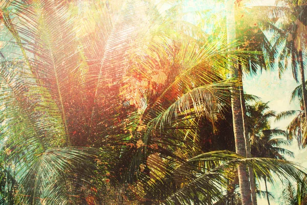 Tropical Background Palm Trees Branches Holiday — Stok Foto