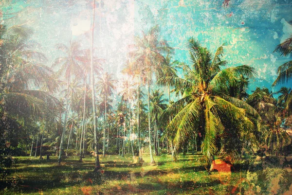 Tropischen Hintergrund Palme Reise-Effekt schäbig — Stockfoto