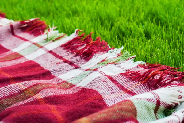 Checkered xadrez piquenique verde grama hora de verão — Fotografia de Stock