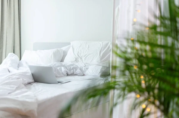 笔记本电脑在白色的床上 有皱巴巴的枕头和毛毯 绿屋种植棕榈 带有复制空间的内部背景 — 图库照片