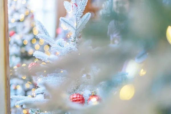 Різдвяна Казка Легкий Морозний Фон Гілки Ялинки Вкриті Снігом — стокове фото